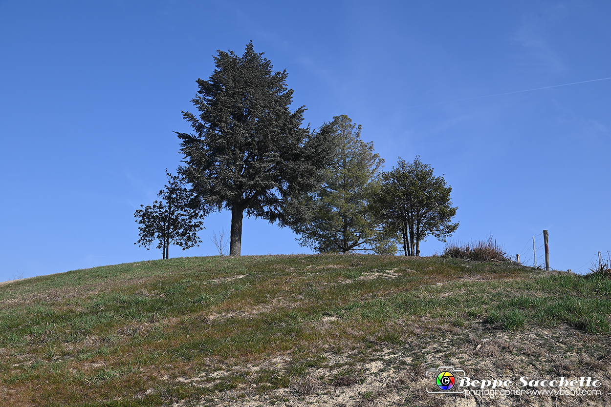 VBS_1116 - Santo Stefano Roero.jpg